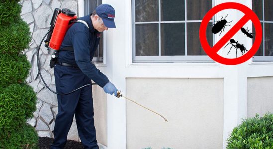 Azdavay Hamam Böceği İlaçlama böcek ilaçlama ve haşere kontrolü — ilaclama-tr.com